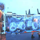 Illustration for article titled Old SARS Iso-Tubes Are Keeping Ebola Patients Alive On Planes